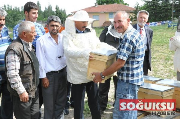 OĞUL ARI DAĞITIMI AKDOĞAN KÖYÜNDE YAPILDI