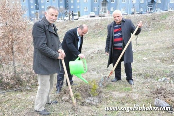 KIZILCAHAMAM'DA 400 ÇAM FİDANI TOPRAKLA BULUŞTU