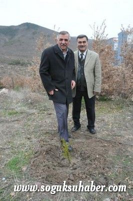 KIZILCAHAMAM'DA 400 ÇAM FİDANI TOPRAKLA BULUŞTU