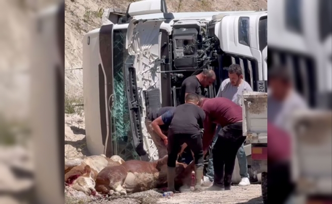 ÇERKEŞ YOLU IŞIKDAĞI MEVKİİNDE TRAFİK KAZASI