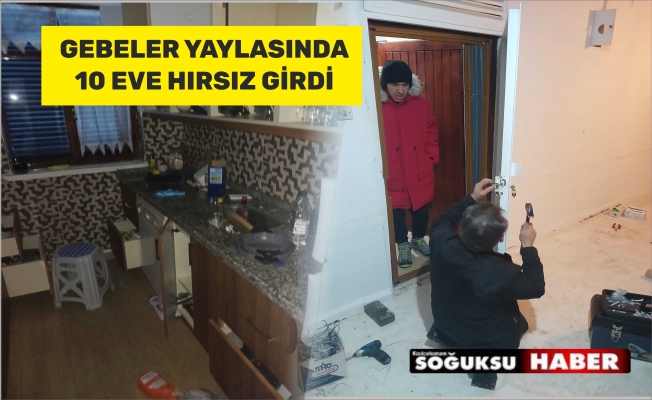 HIRSIZLAR YAYLADA 10 EVE GİRDİ