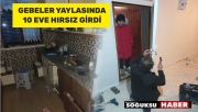 HIRSIZLAR YAYLADA 10 EVE GİRDİ